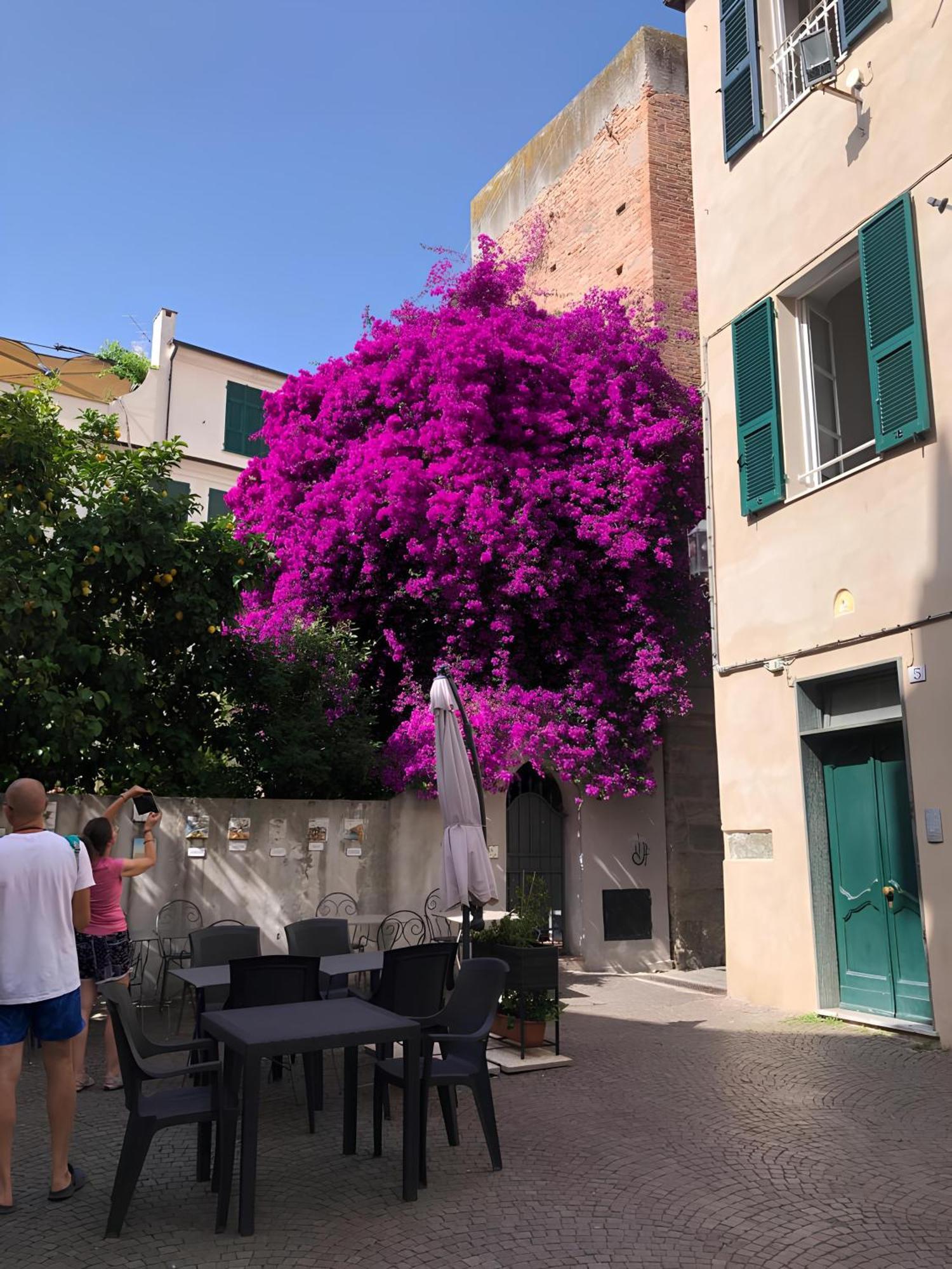 Wonderful Noli - Appartamento Noli Liguria Italia Exterior photo
